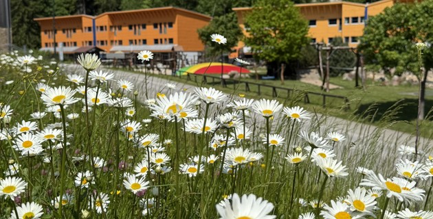 Léto s aktivitami a programem v Resort Špindl Hotelu