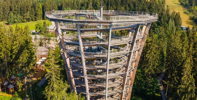 Treetop walks in Jánské lázně